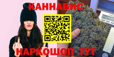 прущие грибы Ставрополь