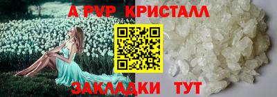 ECSTASY Славгород