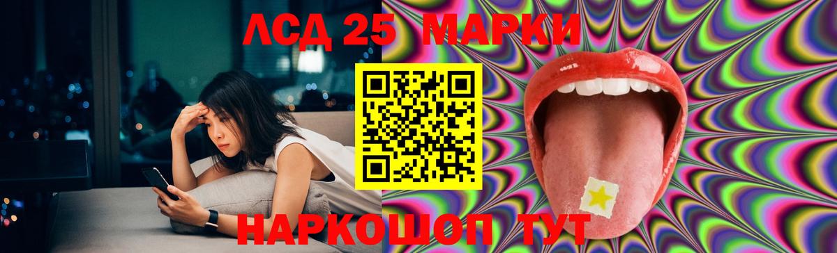 Лсд 25 экстази кислота  Вход с VPN  Нововоронеж  LSD-25 экстази  Лсд 25 экстази кислота 