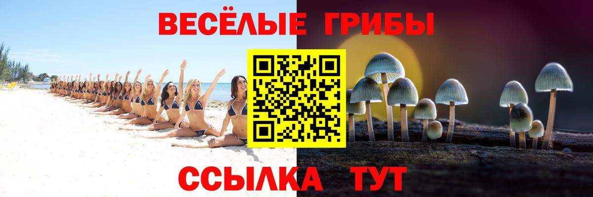 где купить наркоту  Псилоцибиновые грибы мухоморы  Вход с VPN  Нововоронеж 